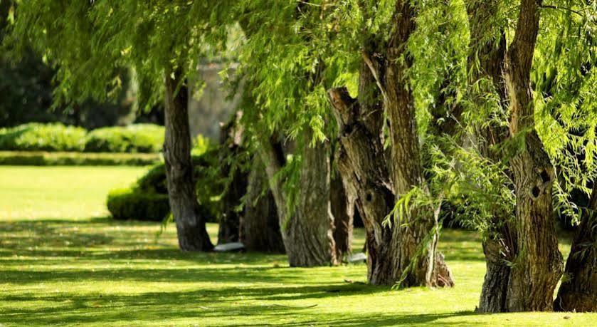 Villa Antigua Tequisquiapan Ngoại thất bức ảnh